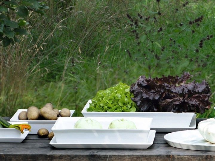 Asa Selection 250C Plus Piatto/Coperchio Ovale 34X22X2,5 cm - immagine 4