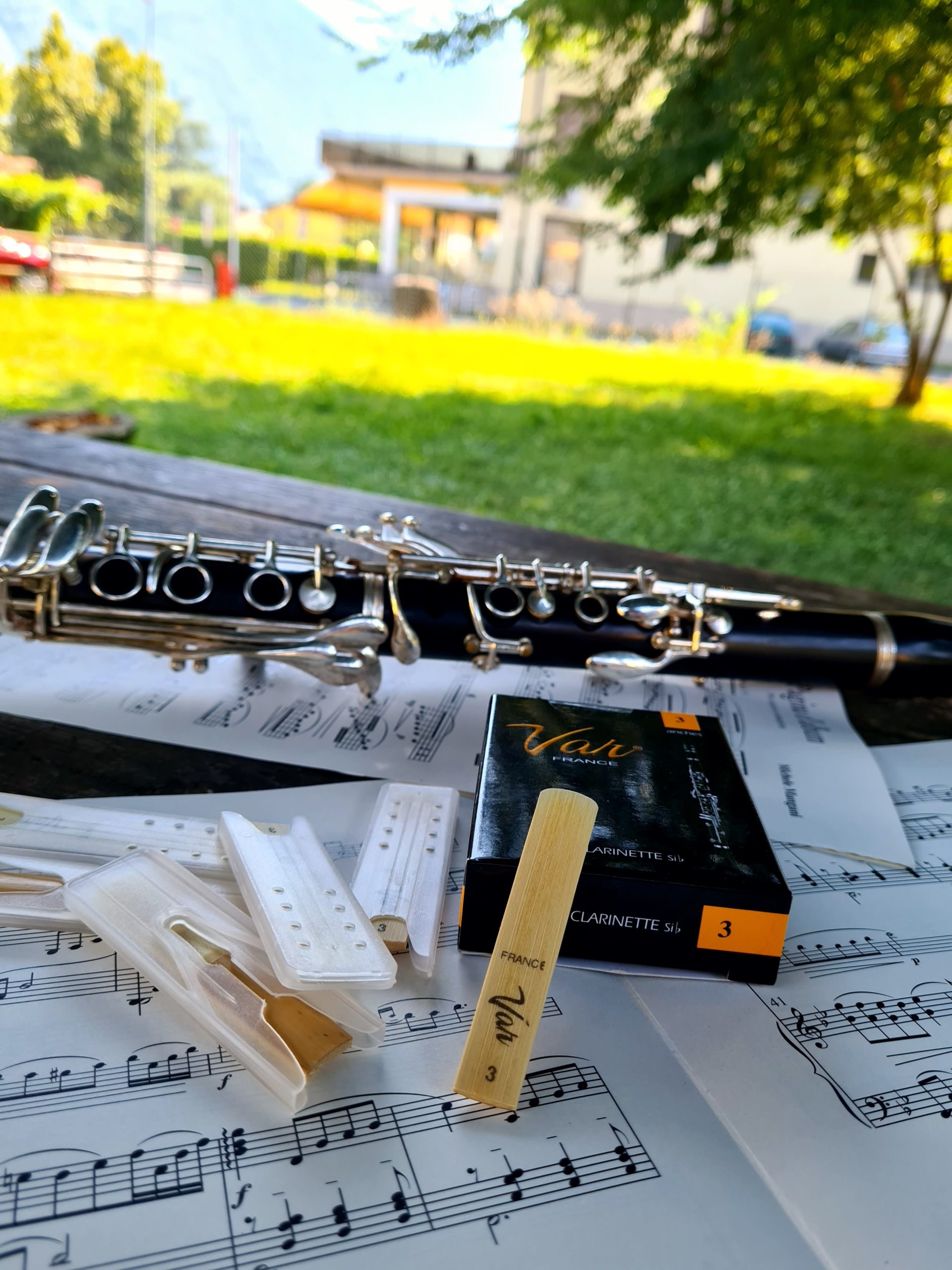 ANCE PER CLARINETTO – VAR - immagine 8