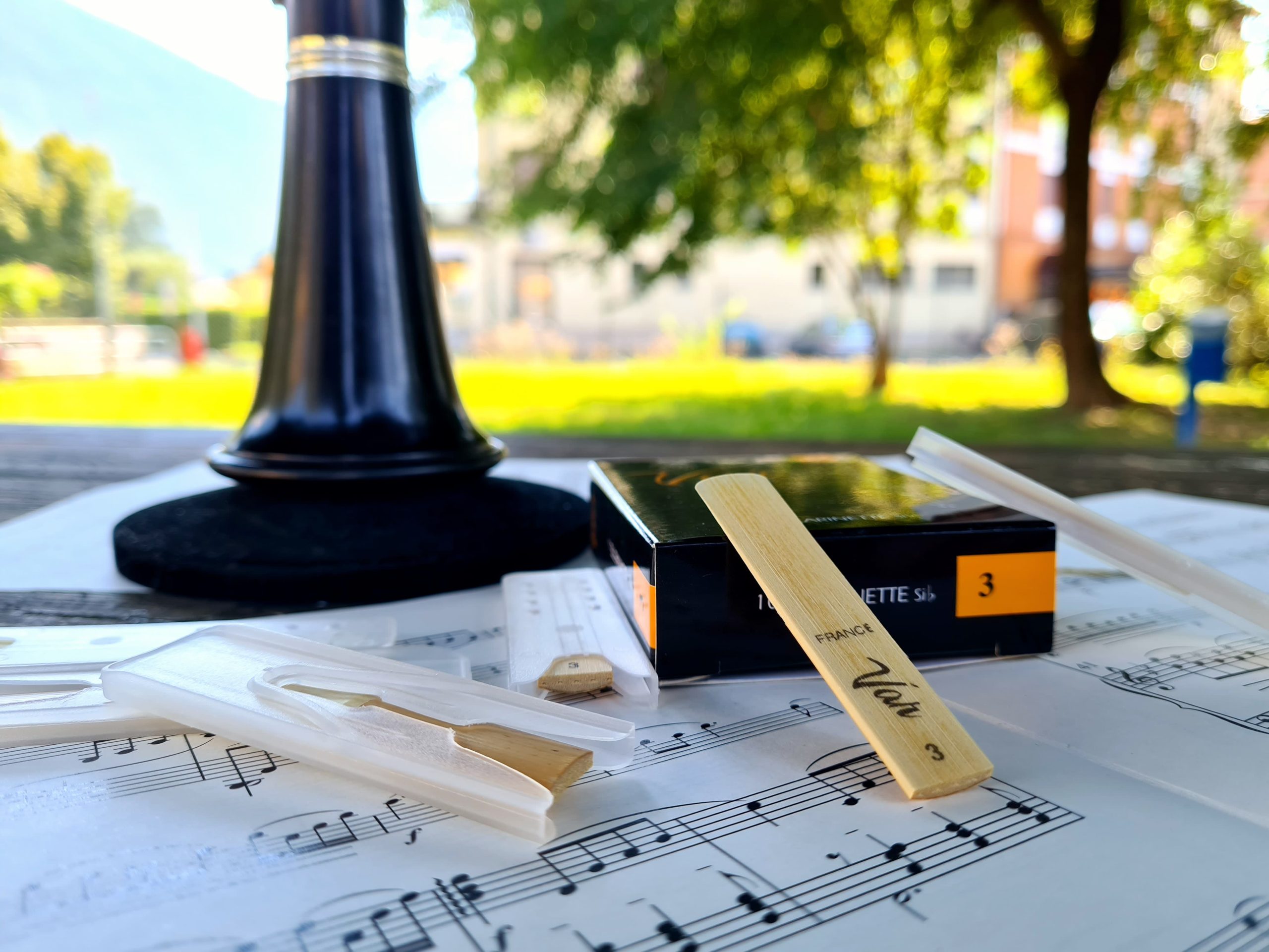 ANCE PER CLARINETTO – VAR - immagine 7