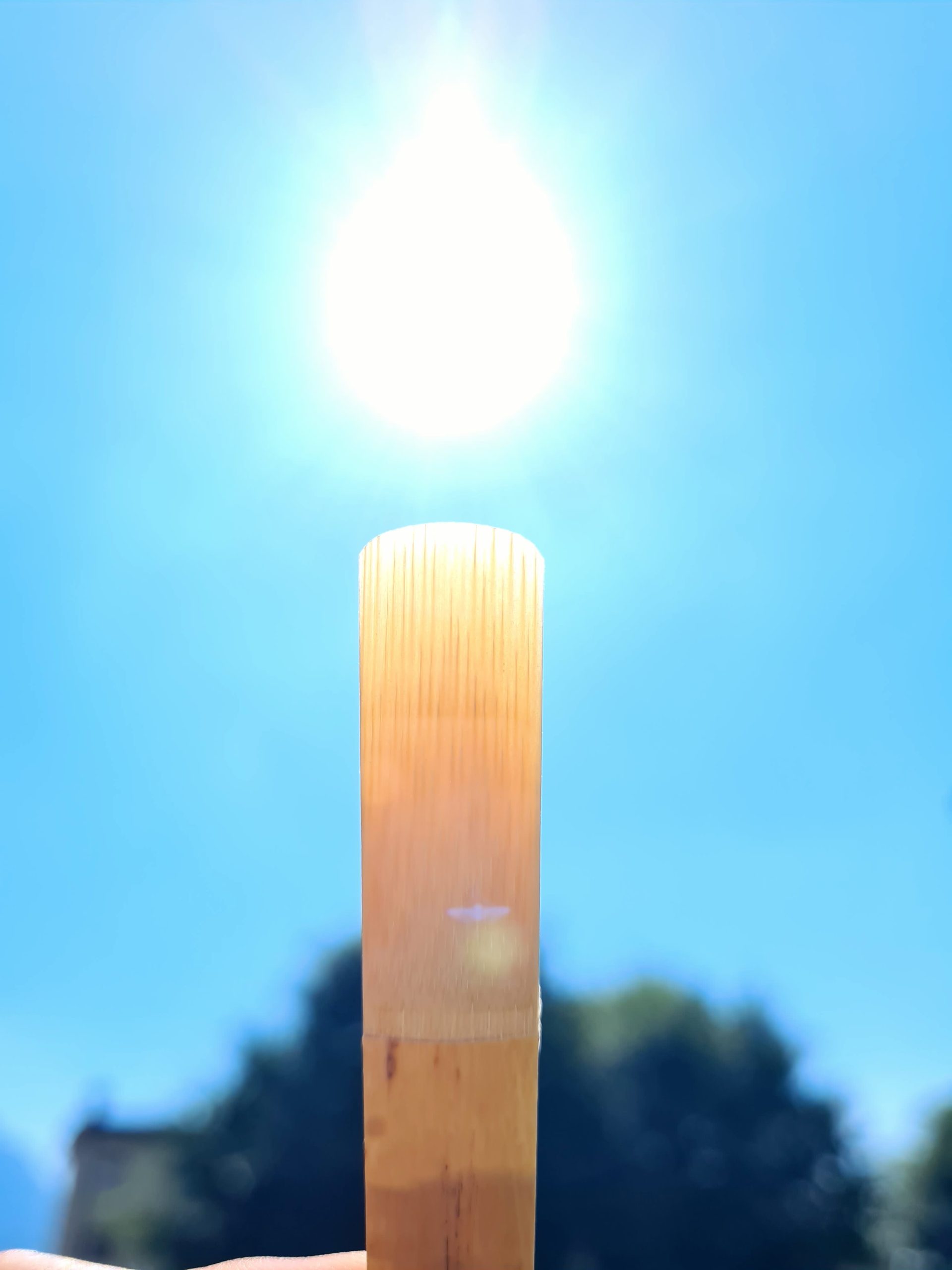 ANCE PER CLARINETTO – VAR - immagine 4