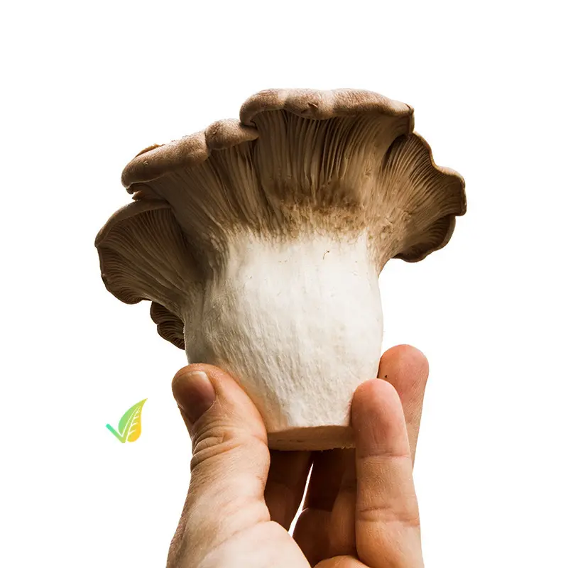 Cardoncello Fresco 800g - immagine 3