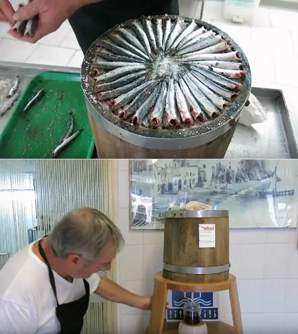 Tonno di Tonnara all’Olio di Oliva 200g - immagine 6