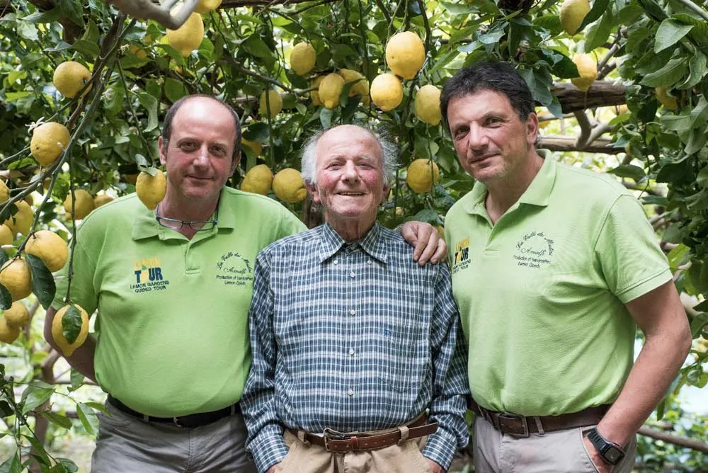 Meloncello Amalfitano 500ml - immagine 7