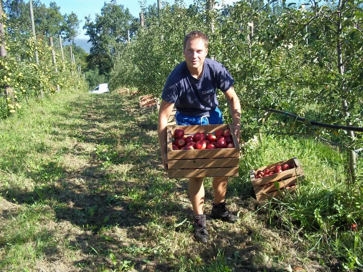 Composta di Antiche Pere Piemontesi 220g - immagine 6