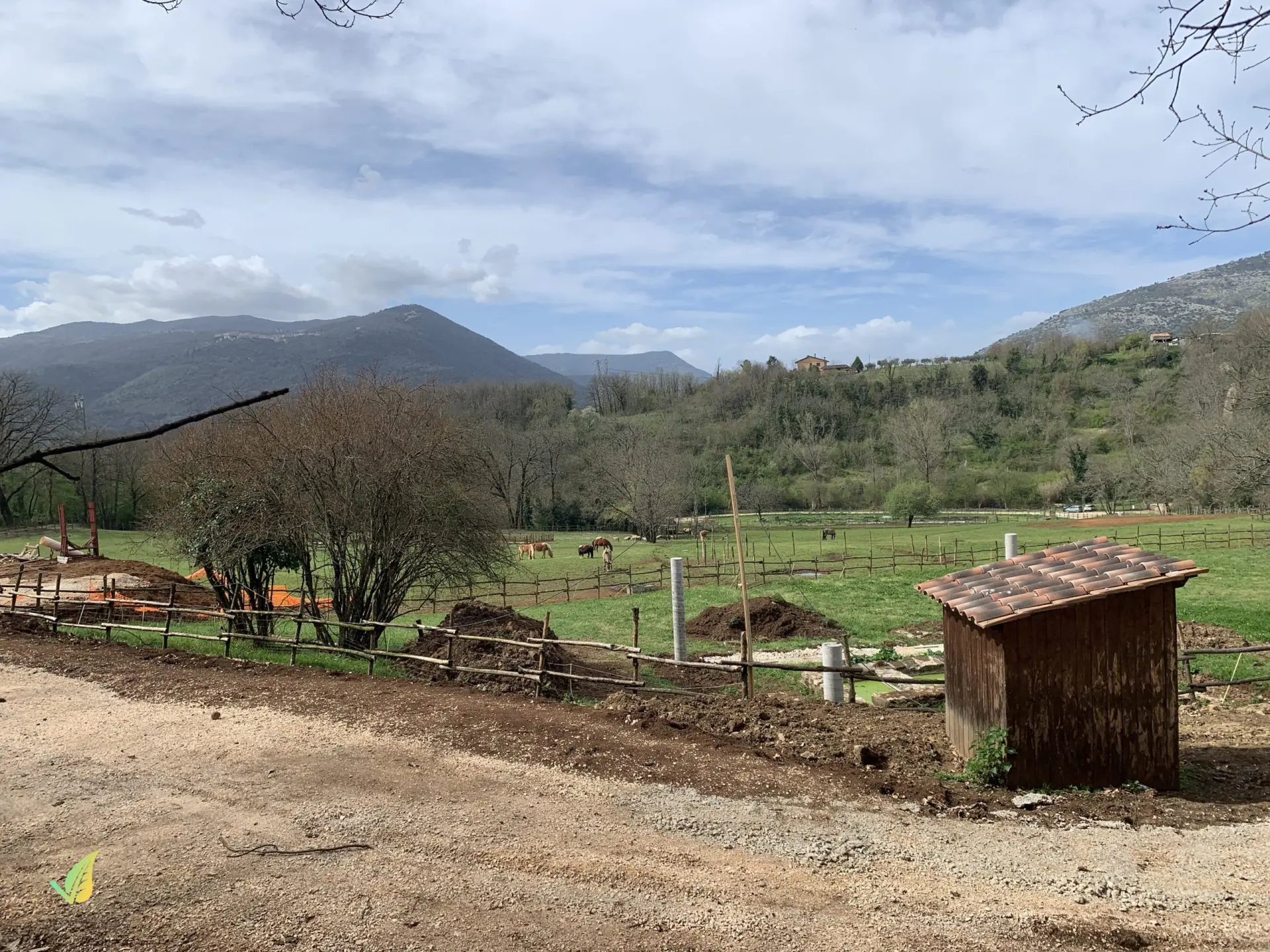 Lardo di Maiale Nero Casertano Biologico 1Kg - immagine 6